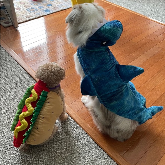 Meet your Posher, Jean - Picture 15 of 15